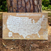 United States of America - Pushpin Map on Wood