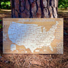 United States of America - Pushpin Map on Wood