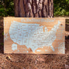 United States of America - Pushpin Map on Wood