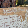 United States of America - Pushpin Map on Wood