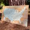 United States of America - Pushpin Map on Wood