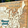 NFL Stadiums - Pushpin Map on Wood