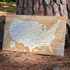 United States of America - Pushpin Map on Wood