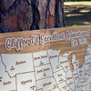 United States of America - Pushpin Map on Wood