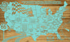 NASCAR Speedways - Pushpin Map on Wood